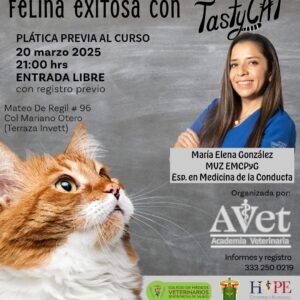 Entendimiento del comportamiento felino